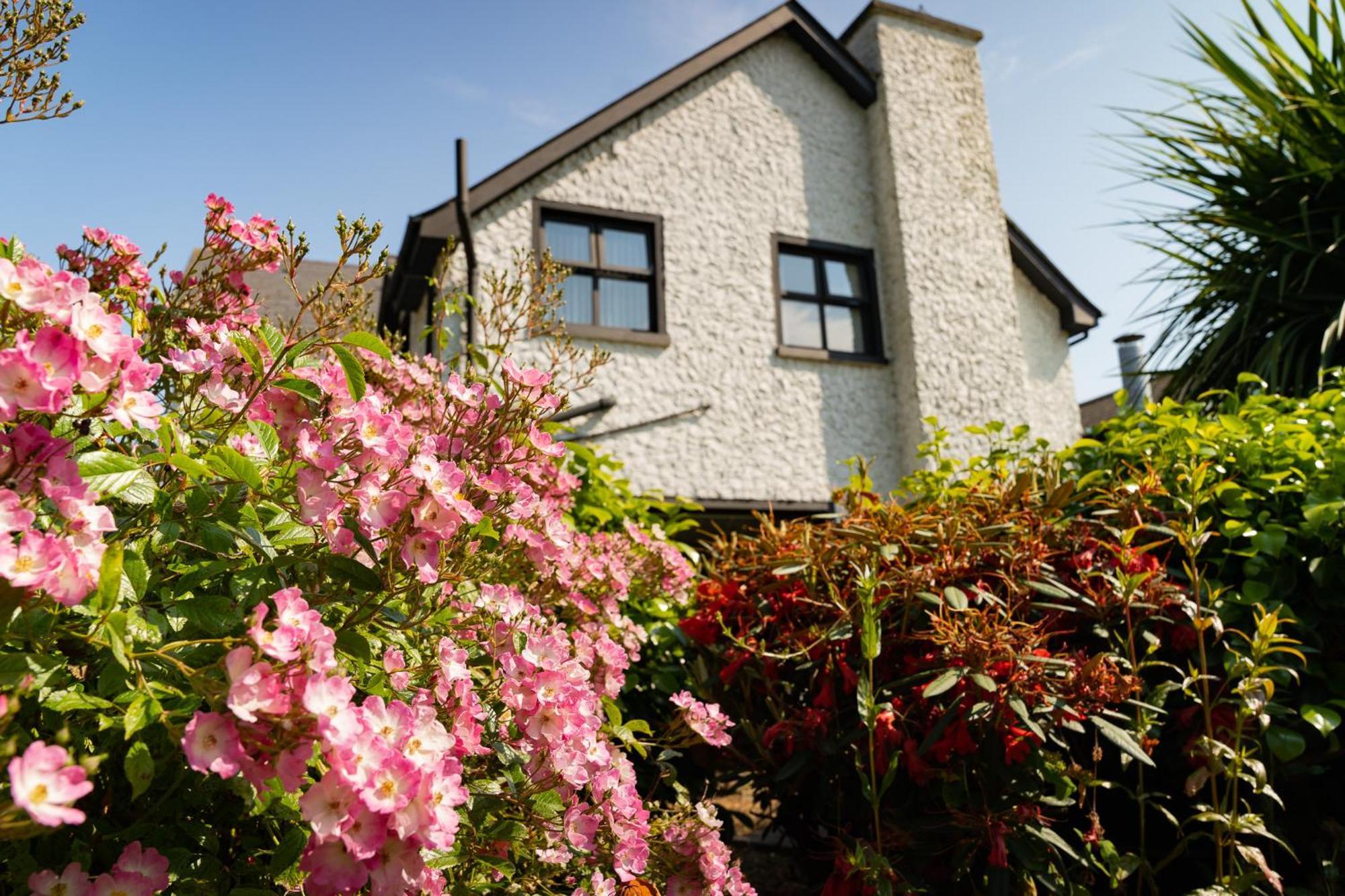 The Briers Country House Newcastle  Exteriör bild