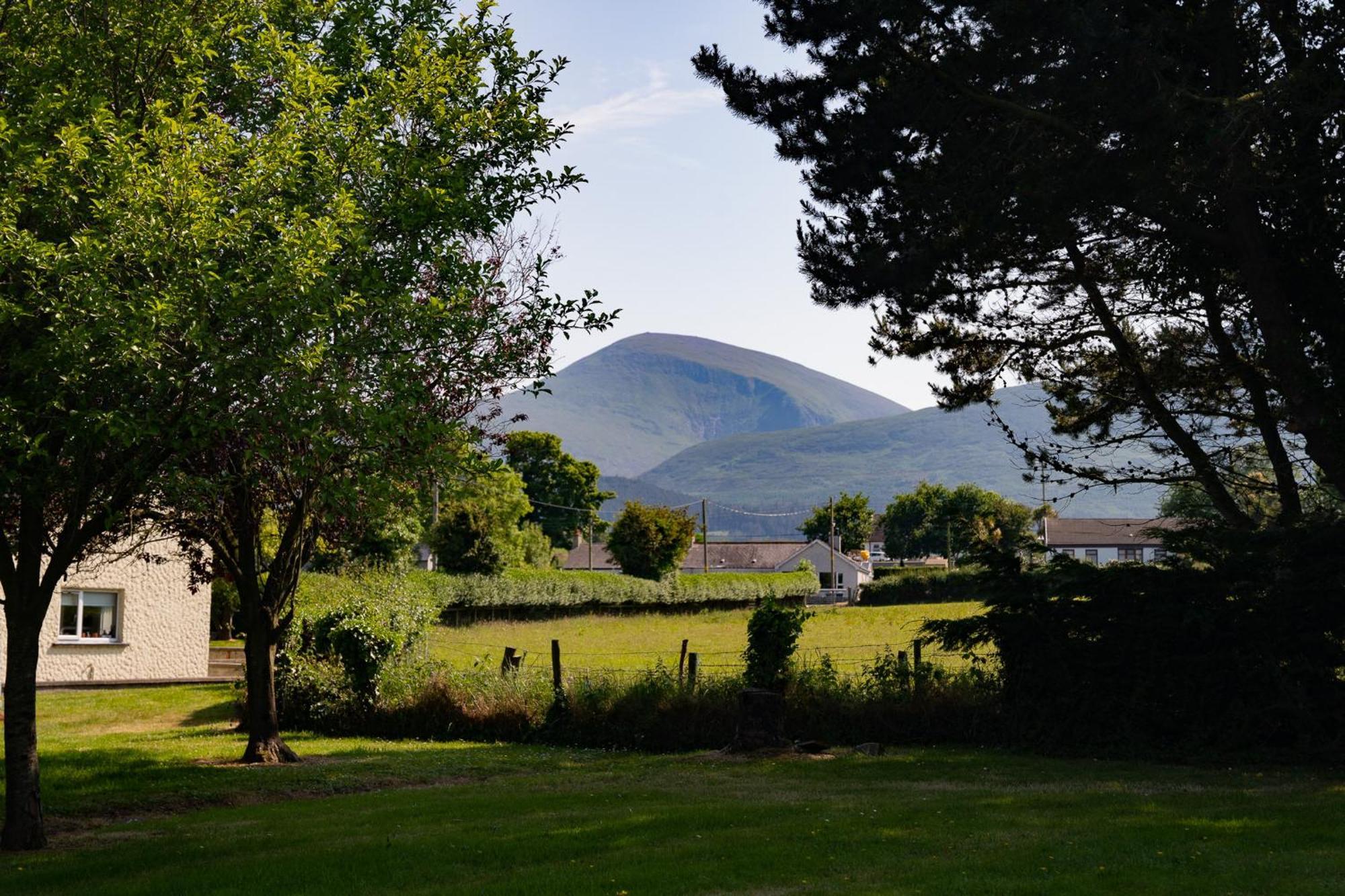 The Briers Country House Newcastle  Exteriör bild