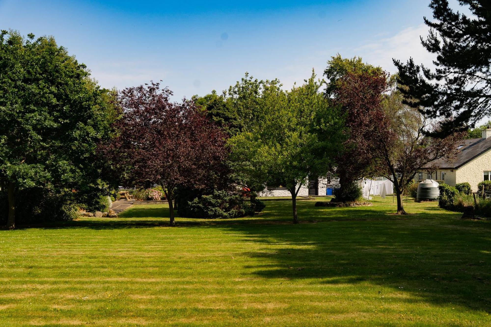 The Briers Country House Newcastle  Exteriör bild